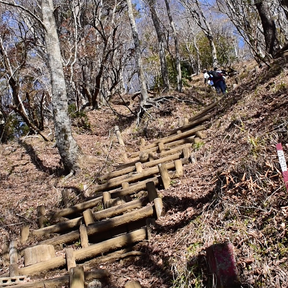 初登山。丹沢：鍋割山