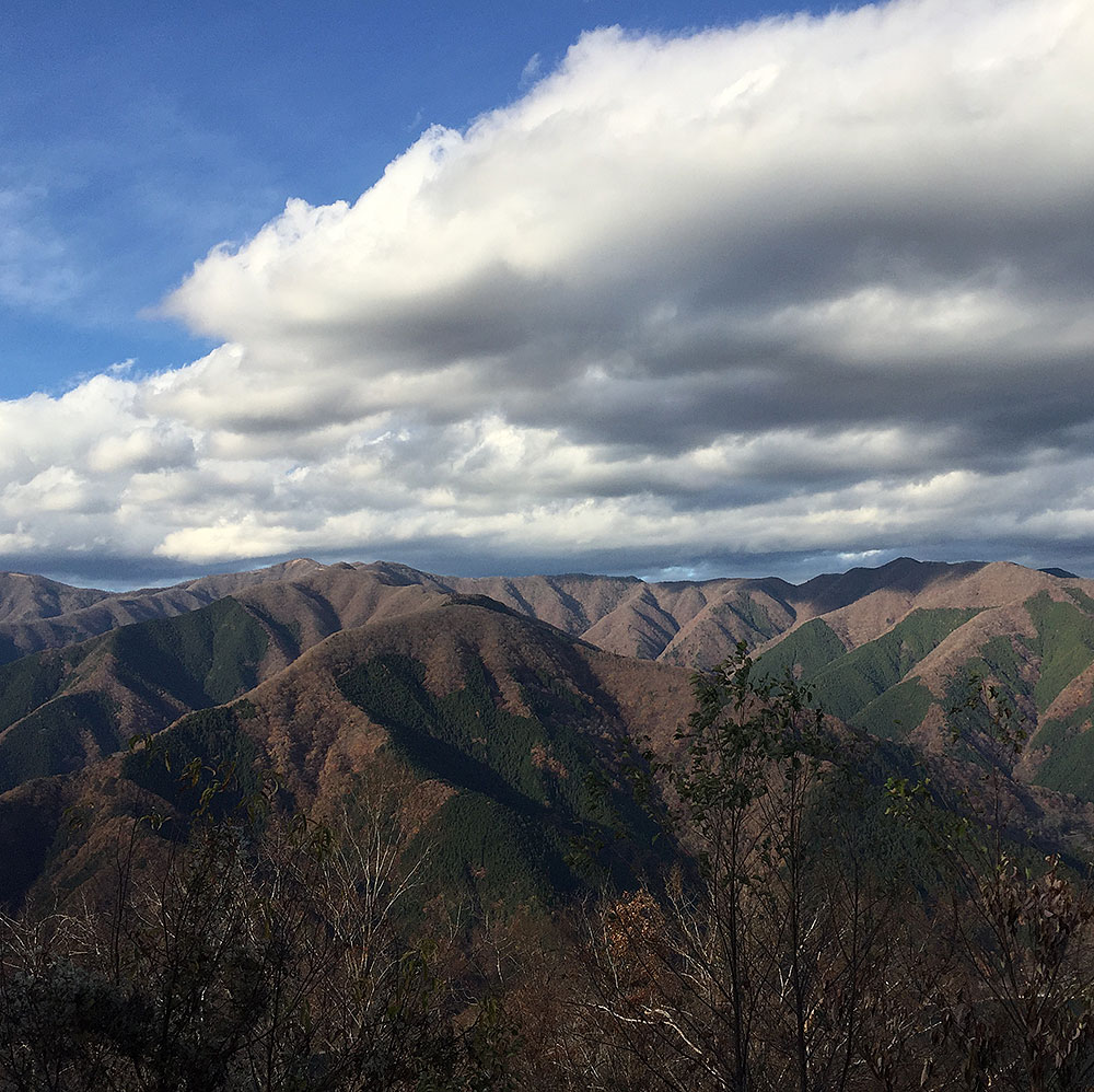 相模湖を見おろす石老山に登る #2