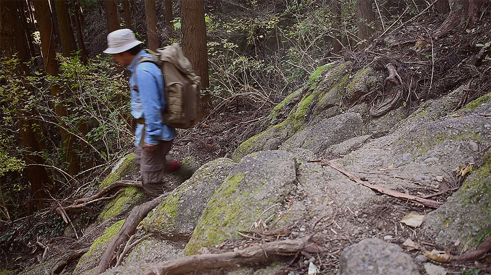 相模湖を見おろす石老山に登る #2