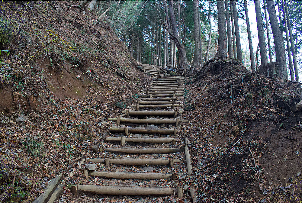 大倉から塔ノ岳、丹沢山のピストン登山