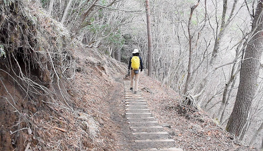 大倉から塔ノ岳、丹沢山のピストン登山