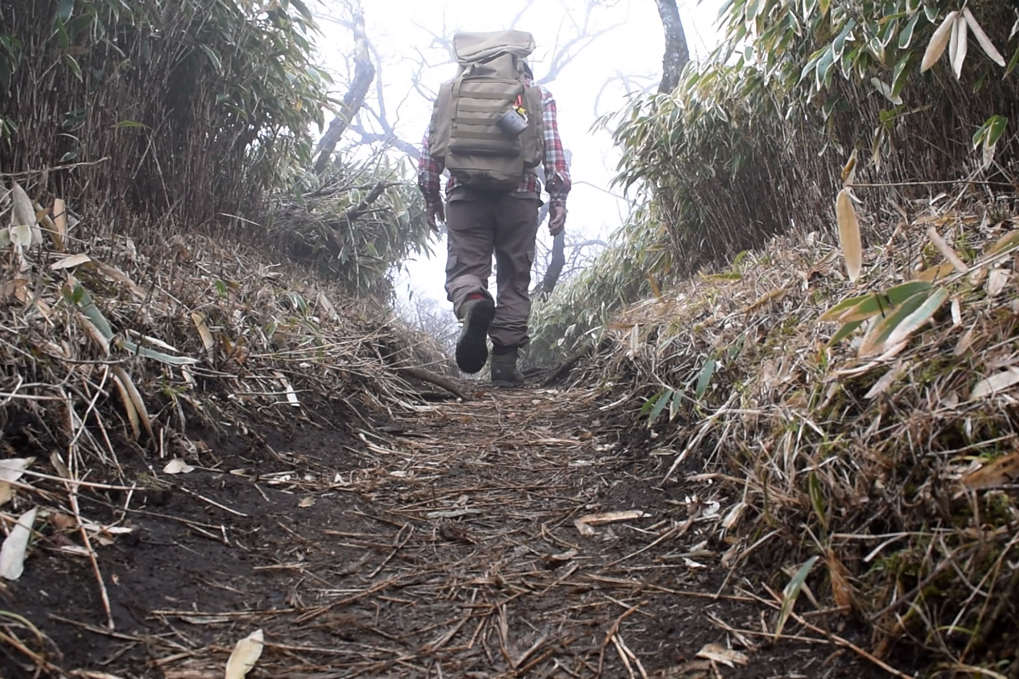 大倉から塔ノ岳、丹沢山のピストン登山