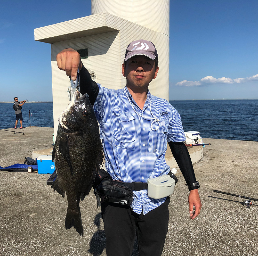 秋晴れは、黒鯛の数釣り