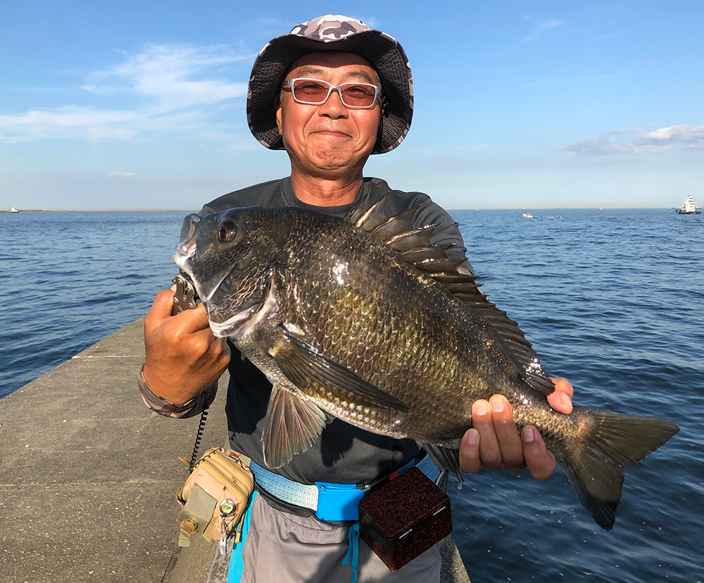 秋晴れは、黒鯛の数釣り