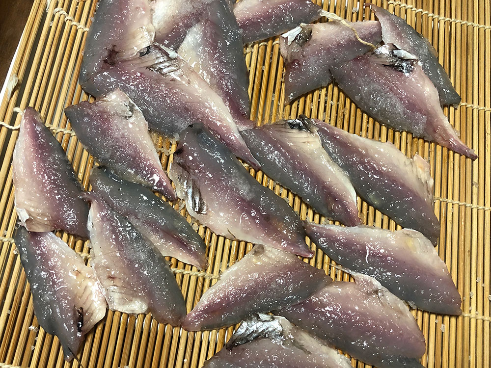 始めて太刀魚釣りました