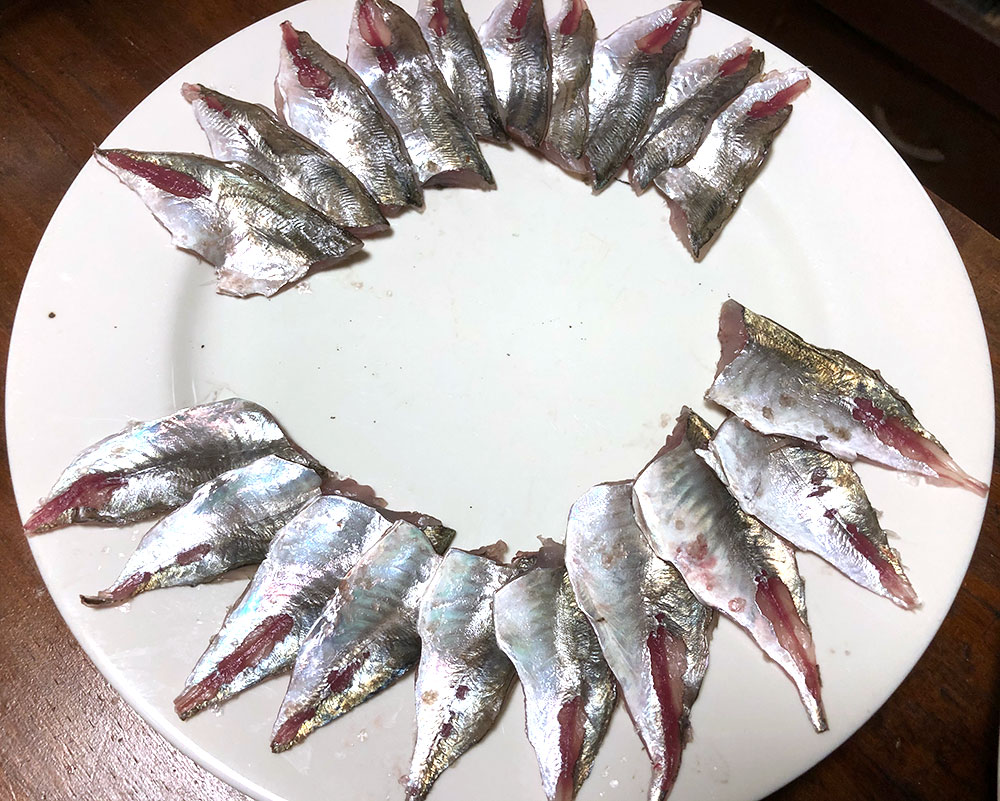 始めて太刀魚釣りました