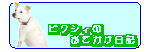 つつみっち
